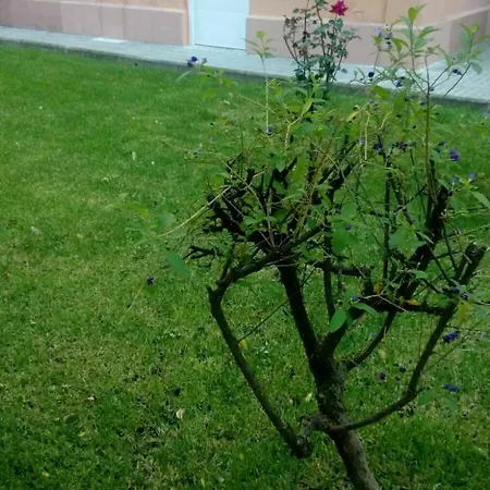 With 2 Bedrooms In Salou, With Pool Access Salou